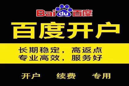 百度搜索推广案例集锦：实战技巧与策略解析